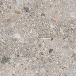 Carrelage en céramique sol et mur | 30x60 cm | vtwonen Composite Multicolor