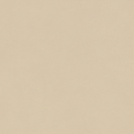 Carrelage en céramique sol et mur | 120x120 cm | Natural Blend Wheat