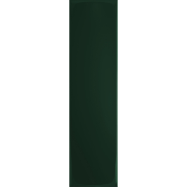 Carreaux muraux en céramique | 7.8x29.8 cm | Tones Green