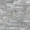 Pierre naturelle | 5x20 cm | Hanoi Bluestone